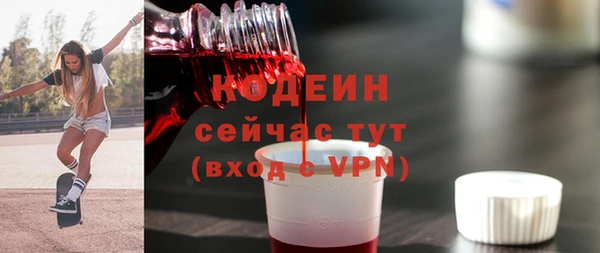 mix Богородицк