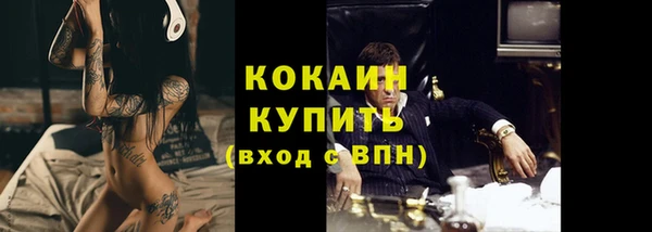apvp Богданович