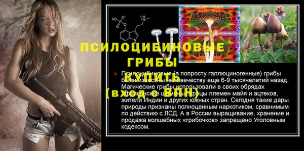 apvp Богданович