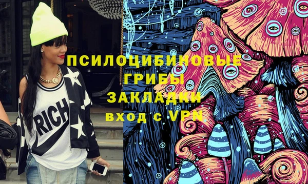 mix Богородицк