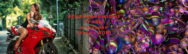 apvp Богданович