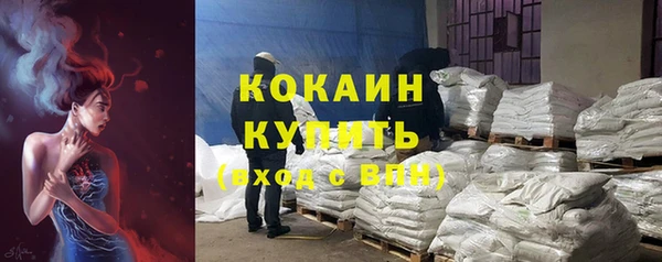 mix Богородицк