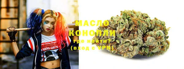 mix Богородицк
