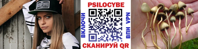 Купить закладки  Кондопога  Галлюциногенные грибы ЛСД 