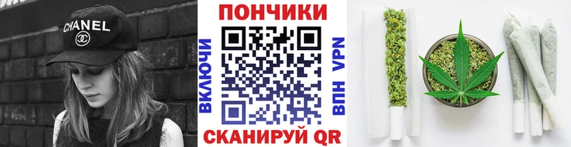 Купить закладки  Кондопога  Бошки марихуана SATIVA & INDICA 